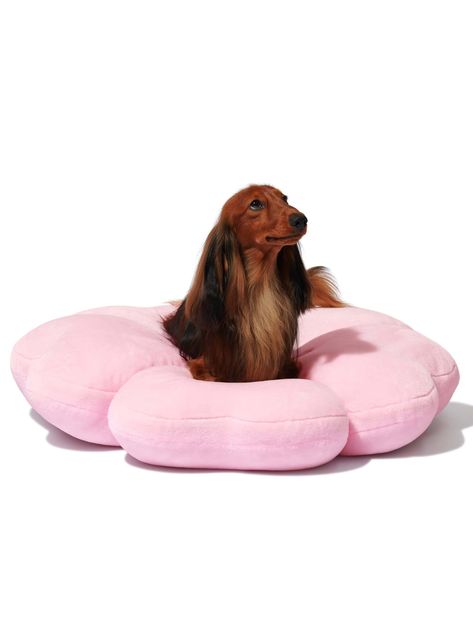 VETRESKA Cherry Blossom Dog Beds, Deluxe Puppy Bed Calming Dog & Cat Bed Machine Washable - Ultra-Soft Plush Pet Bed for Large/Medium DogsI discovered amazing products on SHEIN.com, come check them out! Bed Bolster, Cute Sakura, Dog Couch Bed, Pets And Owners, Puppy Bed, Puppy And Kitten, Round Dog Bed, Dog Crate Bed, Kitten Cute