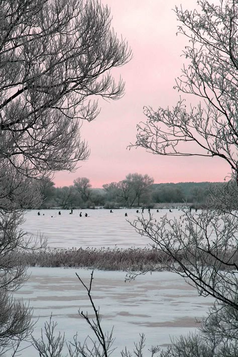 Pink And Grey Aesthetic, Pink And Grey Wallpaper, Winter Fishing, Grey Aesthetic, Pink Winter, Gray Aesthetic, Pink And Gray, Winter Wonder, Grey Wallpaper