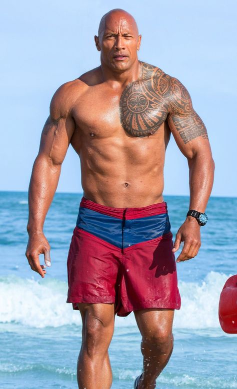 Baywatch Dwayne Johnson Body, Dwayne Johnson Family, Dwayne Johnson Movies, Human Body Proportions, Hugh Jackman Shirtless, Sandra Bullock Hair, Baywatch Movie, Duke Bike, Office Mural