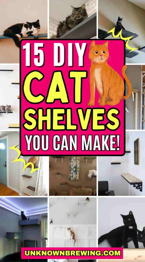 15 Fun DIY Cat Shelf Ideas for Your Feline Friends Apartment Cat Ideas Diy, Diy Cat Shelf, Diy Cat Wall Ideas, Diy Cat Shelves, Build Shelves, Floating Cat Shelves, Cat Tree Plans, Cat Climbing Wall, Cat Shelf