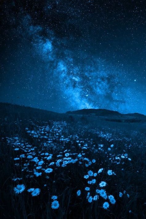 Starry Forest Aesthetic, Beautiful Night Sky Aesthetic, Cool Landscapes Photography, Breath Of Fresh Air Aesthetic, Blue Hour Background, Dark Blue Night Aesthetic, Dark Blue Vibes Aesthetic, Dark Blue Sky Aesthetic, Dark Blue Nature Aesthetic