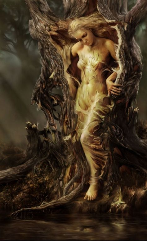 Creature Fantasy, Tree Spirit, Mythological Creatures, Mystical Creatures, Arte Fantasy, Magical Creatures, Gods And Goddesses, Fantasy Artwork, Tree Art