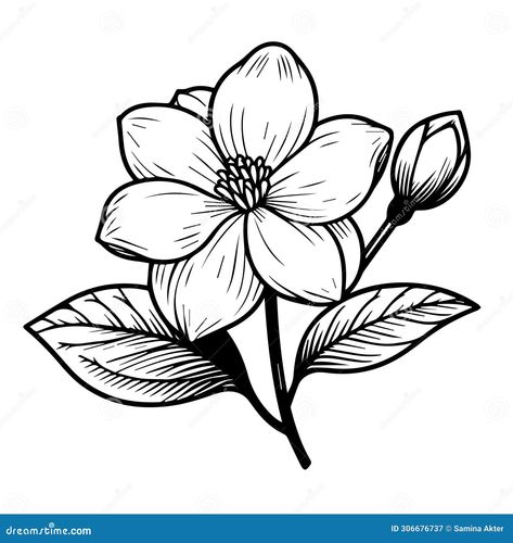 easy jasmine flower, sketch jasmine flower drawing, tattoo jasmine flower drawing, outline jasmine flower tattoo, simple jasmine flower tattoo, minimalist jasmine flower tattoo, white jasmine flower drawing, realistic jasmine flower drawing, art jasmine flower drawing Mogra Flower Drawing, Jasmine Flower Drawing Simple, Jasmine Flower Drawing Art, Jasmin Flower Drawing, Jasmine Drawing Flower, Jasmine Flower Drawing Tattoo, Jasmine Flower Sketch, Flower Drawing Realistic, Flower Drawing Outline