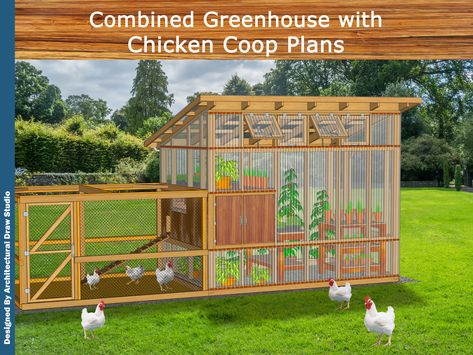 Dream Chicken Coop, Coop Layout, Decorating Backyard, Chicken Coop Building Plans, Coop Decor, Diy Greenhouse Plans, Diy Chicken Coop Plans, Build A Greenhouse, Coop Design