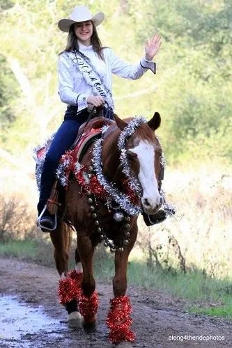 How to Make Your Own DIY Horse Costume (8 Examples) Horse Christmas Parade, Diy Horse Costume, Horse Parade Ideas, Horse Halloween Ideas, Horse Costume Ideas, Christmas Parade Ideas, Horses Christmas, Country Princess, Horse Halloween Costumes