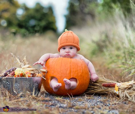 Baby Pumpkin Pictures, Halloween Baby Pictures, Fall Baby Pictures, Photo Bb, September Baby, Baby Milestones Pictures, Pumpkin Halloween Costume, Monthly Baby Pictures, Pumpkin Pictures