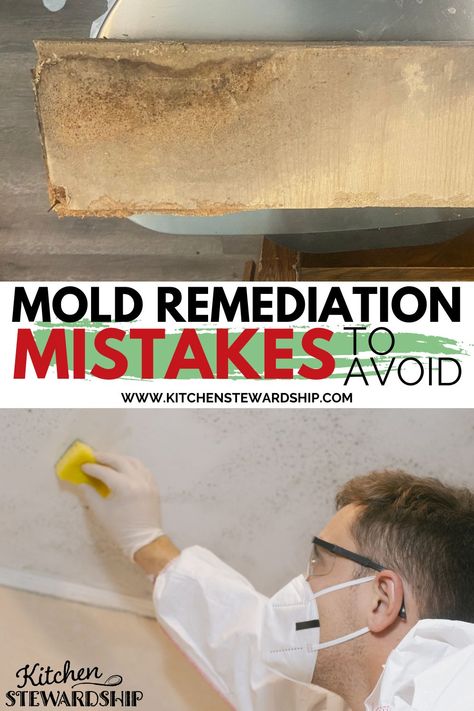 Don’t make these home mold remediation mistakes. Learn what to do instead during your mold remediation process. Mold Remediation Diy, Mold Remover Bathroom, Bathroom Mold, Remove Mold, House Mold, Toxic Mold, Plywood Floor, Seasonal Decor Ideas, Mold Removal