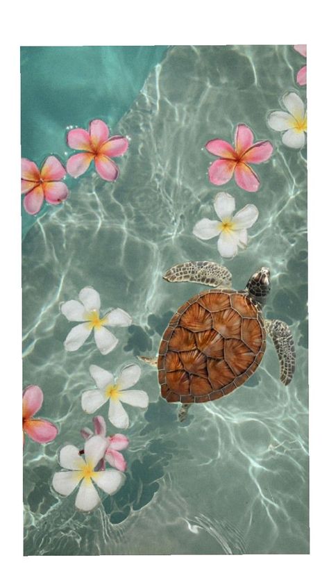 Tortoise Wallpaper Iphone, Cute Turtle Wallpaper, Sea Turtle Aesthetic, Turtle Aesthetic, Sea Turtle Wallpaper, Turtle Background, Beachy Wallpapers, Sea Turtle Pictures, Aquarium Live Wallpaper