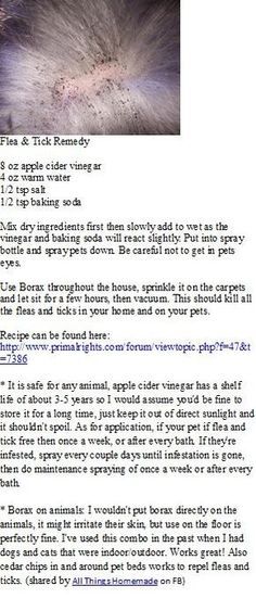 Flea Remedies, Pet Remedies, Flea And Tick Spray, Tick Spray, Flea Spray, Dog Remedies, Dog Info, Pet Hacks, Diy Dog