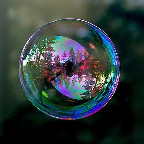 Bubbles Photography, Foto Macro, Reflection Photography, Blowing Bubbles, Soap Bubbles, Water Droplets, Drawing Tutorials, Painting Illustration, Macro Photography