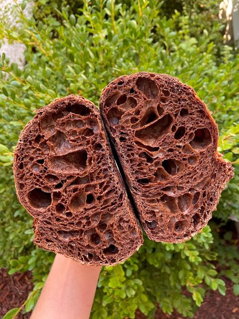 Easy Chocolate Sourdough Bread, Sourdough Bread Chocolate, Chocolate Sour Dough Bread, Sourdough Chocolate Bread, Flavored Sourdough Bread, Chocolate Sourdough Bread Recipe, Flavored Sourdough, Sourdough Basics, Chocolate Sourdough Bread