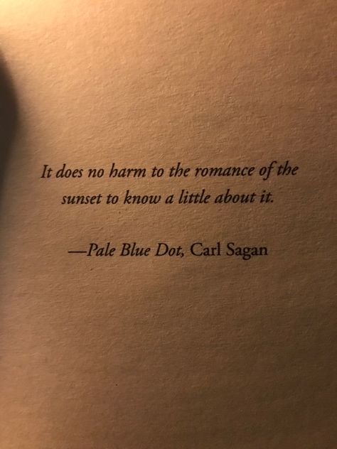 Pale Blue Dot Tattoo, Blue Dot Tattoo, Carl Sagan Tattoo, Pale Blue Dot Quote, Leo Sun Leo Moon, Carl Sagan Quotes, Insta Quote, Oh My Soul, Leo Moon