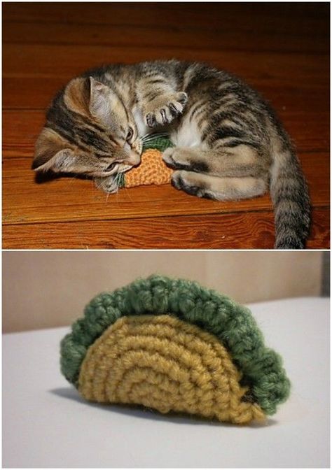 Homemade Cat Toys