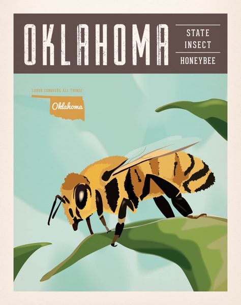 Vintage Oklahoma Series Poster #4 - Honeybee - OK State Insect