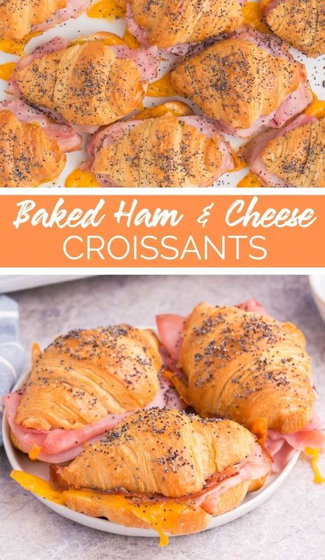 Baked Ham and Cheese Croissants are the best way to start your morning. They are crispy on the outside and soft on the inside! Cresent Roll Ham And Cheese Sliders, Ham And Cheese Crossiant Bake, Ham And Cheese Croissant Baked, Ham And Cheese Crossiant Sandwiches, Ham And Cheese Mini Croissant, Make Ahead Ham And Cheese Croissants, Ways To Use Croissants, Easy Ham And Cheese Croissant, Croissant Sandwiches Ideas