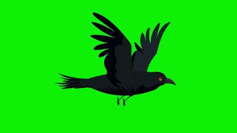 Crow Animation, Cartoon Crow, Flying Crow, Crow Flying, Frame Animation, 2d Cartoon, Frame By Frame, Crow Bird, Bird Flying