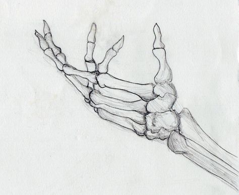 Skeleton Hands Drawing, Skeleton Arm, Arm Drawing, Skeleton Drawings, Arte Van Gogh, Skull Hand, Skeleton Art, Skull Drawing, Skeleton Hand