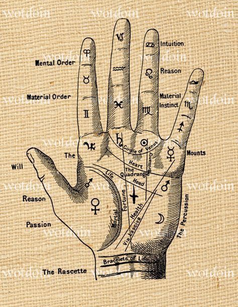 Fortune Teller Hand, Palmistry Hand, Alchemic Symbols, Alchemy Symbols, Magic Symbols, Palm Reading, Symbols And Meanings, Fortune Teller, Spells Witchcraft