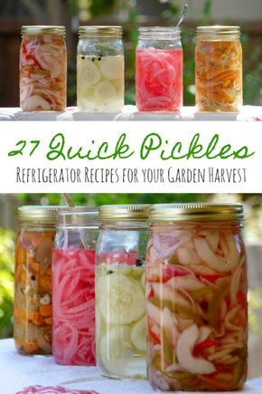 Quick Pickle Recipe, Refrigerator Pickle Recipes, Quick Pickle, Pickled Vegetables Recipe, Quick Pickles, Pickled Foods, Pickle Recipes, In A Pickle, Refrigerator Pickles