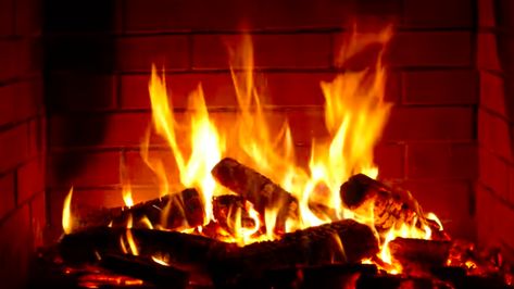 Cozy up to a fireplace, relax on a beach, or find tranquility near a babbling brook--with these free classroom screensavers. Fire In Fireplace, Fireplace Screensaver, Place Video, Wallpaper Fireplace, Fireplace Video, Viola Sheet Music, Date Places, Cello Sheet Music, Clarinet Sheet Music