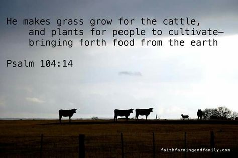 He makes grass grow for the cattle, and plants for people to cultivate -- bringing forth food from the earth. ~` Psalm 104:14 <3 Ag Quote, Agriculture Quotes, Farm Life Quotes, Farming Quotes, God Made A Farmer, Farm Quotes, Cowboy Quotes, Country Quotes, Ranch Life