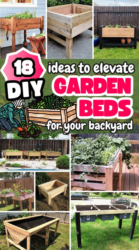 Looking to garden without bending over? These DIY elevated garden bed ideas are perfect for anyone who wants to grow plants at a comfortable height. Simple to build and perfect for small spaces, these beds will make gardening easier and more enjoyable! Diy Raised Garden Beds, Elevated Garden, Diy Garden Bed, Grow Plants, Bed Plans, Garden Bed, Bed Ideas, Growing Plants, Dream Garden