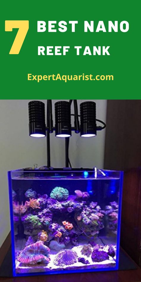 Small Saltwater Aquarium, Small Salt Water Aquarium, Nano Reef Tank Aquascaping, Salt Water Fish Tank Ideas, Small Saltwater Tank, Small Fish Tank Ideas, Saltwater Tank Setup, Fish Tank Aquascaping, Reef Tank Aquascaping