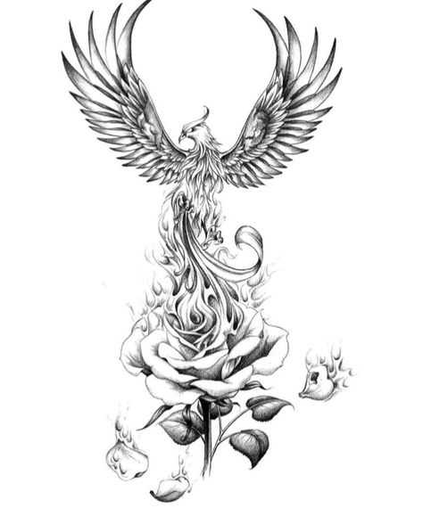 Burning Flower Tattoo Design, Rose And Phoenix Tattoo, Phoniex Back Tattoo Women, Phoenix With Roses Tattoo, Burning Pheonix Tattoo, Phoenix With Lotus Tattoo, Phoenix Rising From Flames Tattoo, Order Of The Phoenix Tattoo, Phoenix And Rose Tattoo