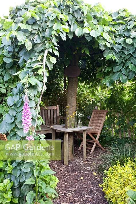 Table Under Tree Backyards, Canopy Trees Backyards, Bench Under Tree Ideas, Shade Garden Seating Area, Seat Under Tree, Garden With Tree In Middle, Garden Sitting Area Under Tree, Front Yard Landscaping With Seating Area, Under Tree Seating Area Ideas