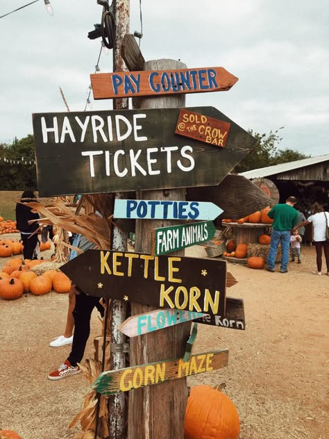 Pumpkin Patch Decoration, Aesthetic Pumpkin Patch, Pumpkin Patch Aesthetic, Pumpkin Patch Business, Patch Aesthetic, Craving Food, Pumpkin Patch Farm, City Night Aesthetic, Best Friend Photo Ideas