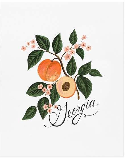 Georgia Peach by Rifle Paper Co. Georgia Tattoo, Peach Tattoo, Peach Paint, Gouache Illustration, Peach Art, Gouache Illustrations, Fruit Illustration, Fruit Painting, Peaches