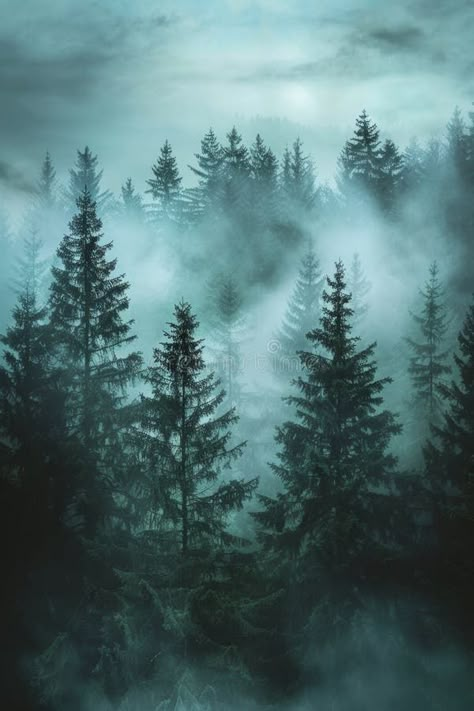 Misty foggy forest, fir mountains, natural mist landscape, dark woods view, mystery clouds on pine trees stock images Foggy Woods Painting, Misty Forest Painting, Misty Pine Forest, Mist Landscape, Forest Forearm Tattoo, Landscape Drawing Ideas, Trees In Fog, Foggy Woods, Mist Forest