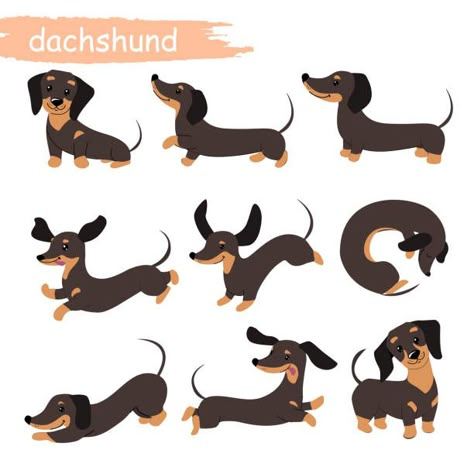 Cartoon Weiner Dog, Daschund Illustration Cute, Weiner Dog Illustration, Dachshund Dog Illustration, Sausage Dog Cartoon, Dachshund Illustration Drawings, Weiner Dog Drawing, Daschund Illustration, Sausage Dog Drawing