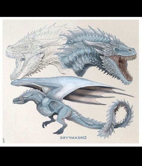 Drogon Game Of Thrones, Dragon Queen, Game Of Thrones Dragons, Mythical Creatures Fantasy, Got Dragons, Dragon Artwork Fantasy, Targaryen Art, Dragon Sketch, Gra O Tron