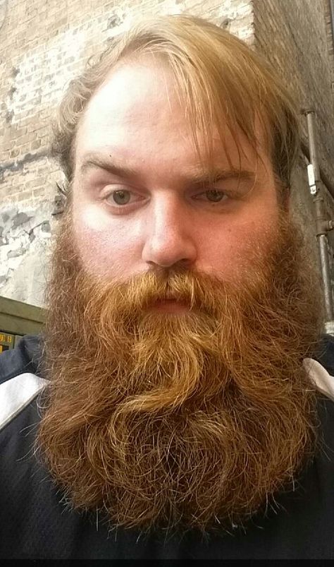 Jake Hebert 24 yrs. Old Old Ginger Man, Odin Allfather, Beard Pictures, Ginger Hair Men, Curly Beard, Beard And Mustache Styles, Long Beard Styles, Ginger Man, Beard Envy