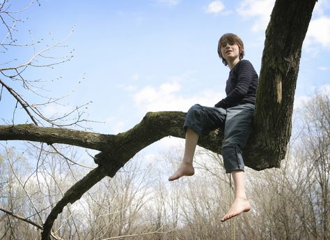 Climbing Trees, Kids Climbing, Sitting In A Tree, Climb Trees, Tree Pose, Art Appliqué, Human Reference, Human Poses Reference, Face Reference