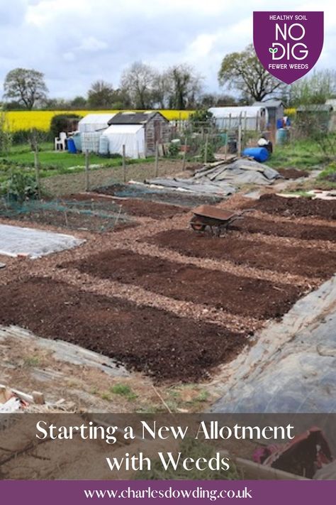 Allotment Ideas Inspiration, Allotment Plan, No Till Farming, Homesteading Animals, Veg Patch, Dig Gardens, Allotment Gardening, Starting A Vegetable Garden, Permaculture Gardening