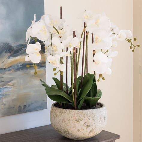 This Christmas, why not give a gift that not only adds a luxurious touch to their home, but can also be cherished for years to come🌸 #fauxflowersofinstagram #fauxflower #artificialflower #fauxorchid #artificialorchid #silkorchid #foreverorchid Orchid Display, Potted Orchid, Faux Orchid, Stone Planter, Colorful Planters, Silk Orchids, Artificial Topiary, Faux Olive Tree, Artificial Garland