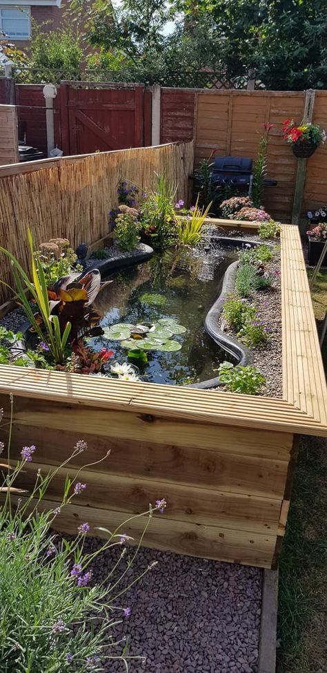 Garden Bed Water Feature, Garden Design With Pond, Raised Water Features In The Garden, Garden Ground Ideas, Flower Bed Pond Ideas, Raised Bed Pond, Raised Bed Water Feature, Raised Fish Pond Ideas, Raised Garden Flower Beds Ideas