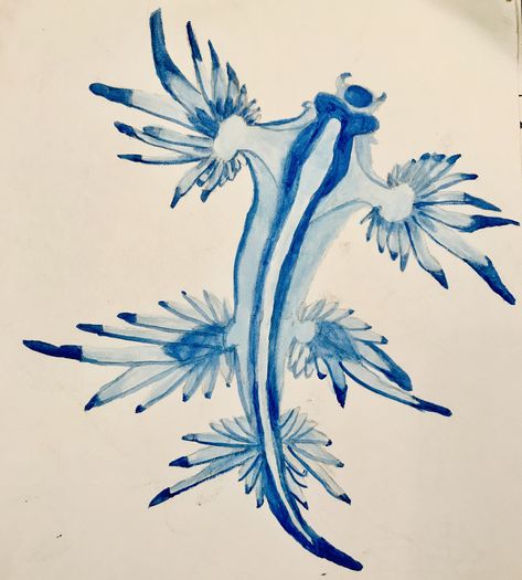 Glaucus Atlanticus Tattoo, Sea Slug Tattoo, Tattoo Stingray, Sea Slug Art, Blue Sea Dragon Tattoo, Blue Dragon Sea Slug Tattoo, Blue Glaucus, Blue Dragon Sea Slug Drawing, Blue Dragon Tattoo