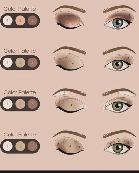 How to Apply Eyeshadow… Correct eye shadow application isn’t difficult, it’s just practised technique. So many of us still get it wrong. This handy graphic helps illustrate different ways of how to apply #eyemakeup #eyeshadow #eyeshadowtutorial #eyeshadowlooks #eyeshadowtechniques Eye Shadow Diagram, Eye Shadow Map, Eye Shadow Shapes, Eye Shadow Ideas For Blue Eyes, Eye Shadow Application Chart, How To Eye Shadow, Eyeshadow Mapping, Eyeshadow Layout, Every Day Eyeshadow