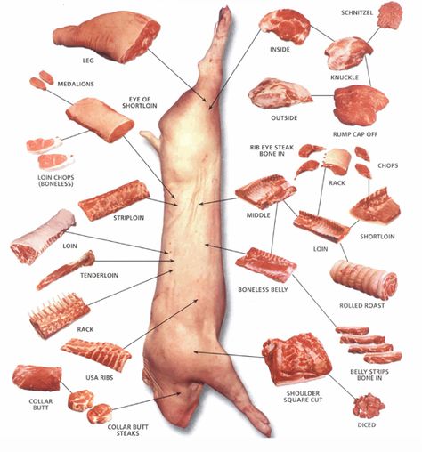 pork cuts Pork Cuts Chart, Beef Cuts Chart, Pig Meat, Rolled Roast, Nice To Meat You, Culinary Lessons, Steak Spice, Meat Butcher, Meat Preparation