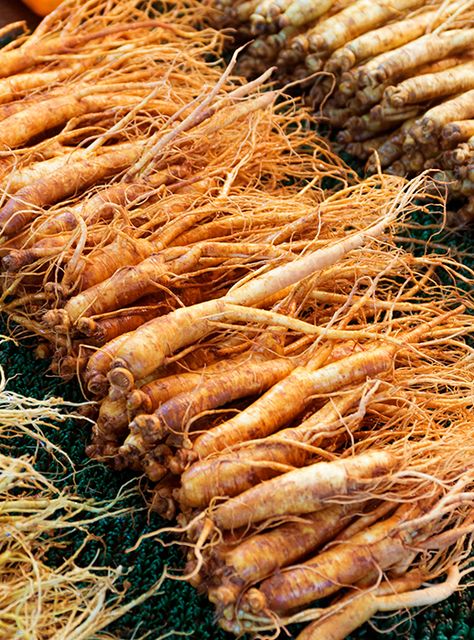 Korean Red Ginseng (root) is known to support cognitive function, reduce mental fatigue, and enhance physical performance. It is an adaptogenic tonic which reduces the effects of stress on the body. It improves sexual function and fertility and it helps the body recover from illness. It is generally an excellent tonic to rejuvenate the mental... Oil Flowers, Plant Herbs, Element Art, Mental Fatigue, Korean Red Ginseng, Wild Herbs, Ginseng Root, Panax Ginseng, Red Ginseng