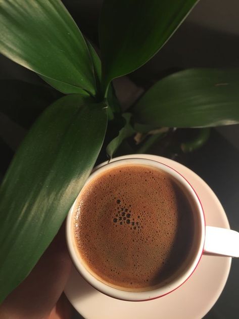 Backgrand Instagram, Red Eye Coffee, Coffee Grounds As Fertilizer, Ways To Make Coffee, نباتات منزلية, Coffee Aesthetics, Coffee Instagram, Coffee Pictures, Coffee Photography