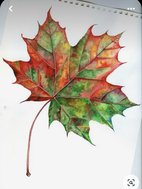 Drawing Maple Leaves, Tree Leaves Painting, Fall Leaf Drawing, Painted Fall Leaves, Autumn Leaves Painting, Maple Leaf Drawing, Fall Leaves Drawing, Watercolor Autumn Leaves, Fall Drawings