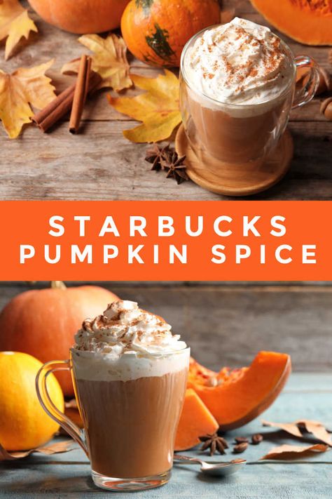 Starbucks Pumpkin Spice Fun Beverages, Slow Cooker Chili Recipe, Starbucks Pumpkin Spice, Starbucks Pumpkin, Warm Drinks, Recipes Appetizers And Snacks, Mouthwatering Recipes, Fall Food, Best Side Dishes