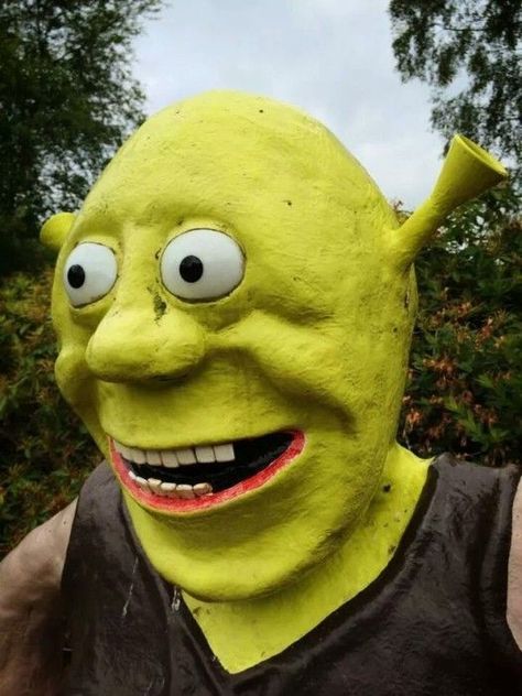 Shrek Funny, Shrek Memes, Funny Photo Memes, Image Meme, Memes Of The Day, Boyfriend Memes, Funny Profile, It Goes On, Funny Profile Pictures