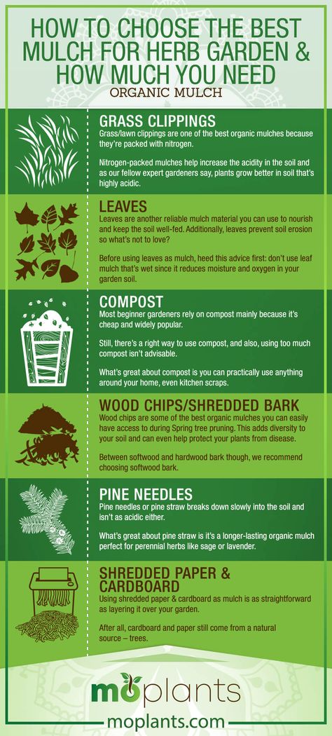 Types Of Raised Garden Beds, How To Make Mulch, Mulching Ideas, Herb Garden Tips, Makeup Looks Winter, Leaf Mulch, Christmas Makeup Simple, Christmas Party Makeup, Types Of Mulch