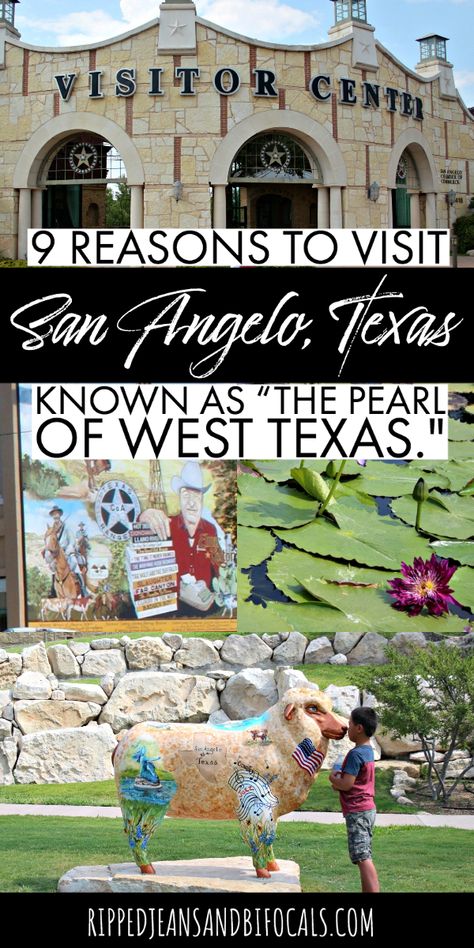 Located along the heart of the Concho River in the heart of ranching country, San Angelo is a great place to discover western frontier heritage as well as cultural attractions, food, and family friendly activities. #TexasTravels #SanAngelo #Texas #FamilyTravel San Angelo Texas, Texas Destinations, Western Frontier, Visit Texas, Travel Texas, Texas Bluebonnets, Texas Towns, San Angelo, Best Family Vacations