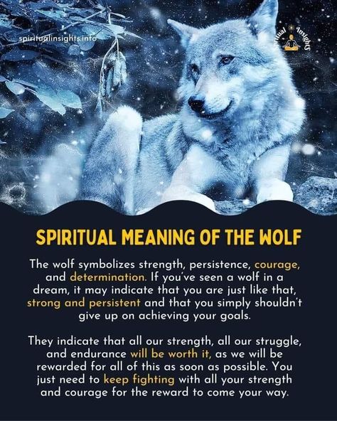 Wolf Symbolism Meaning, Wolf Spirit Guide, Spiritual Wolf Tattoo, Wolf Magic Begin Now, Animal Symbolism And Meanings, Wolf Meaning, Facts About Wolves, Wolf Symbolism, Lover Anime